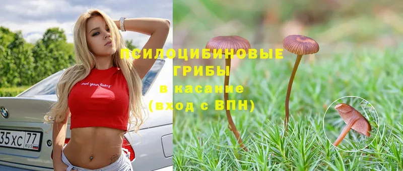 продажа наркотиков  Алупка  Псилоцибиновые грибы Magic Shrooms 